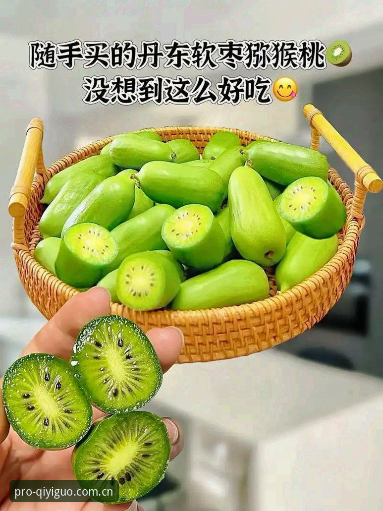奇异果体育平台新旧版本对比：2026更新日志揭秘v2.0.3的突破性变革