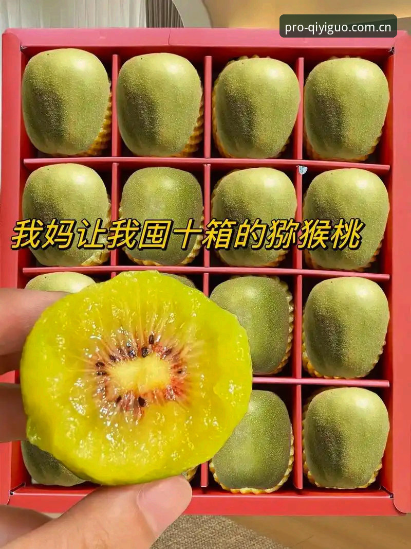 奇异果体育最新动态评测能否重新定义赛事观看体验？