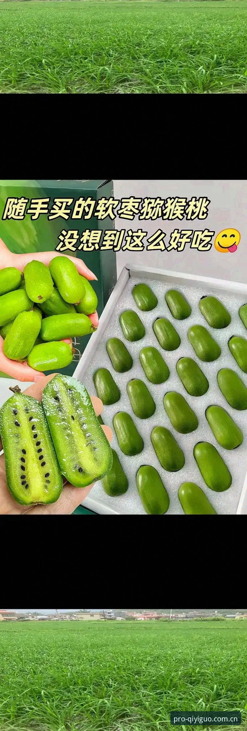 奇异果体育平台评测使用技巧 奇异果体育平台评测使用技巧深度剖析:从安装到高阶玩法全攻略