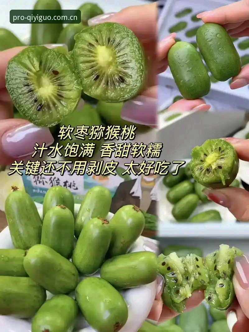 奇异果体育高清直播下载不了怎么办？行业观察者带你解析常见问题与解决方案