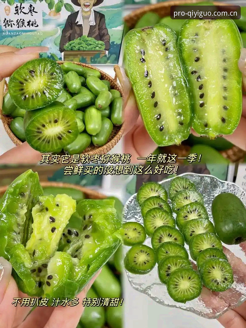 奇异果体育下载安装难题破解心得：资深用户分享奇异果体育观看体验下载不了怎么办的实战经验