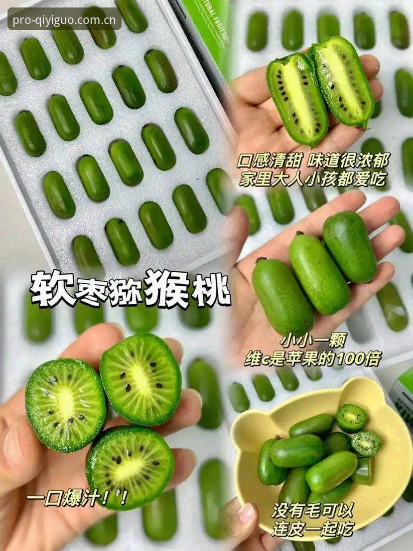 奇异果体育特点 奇异果体育平台新手上手指南:核心特点与操作教程
