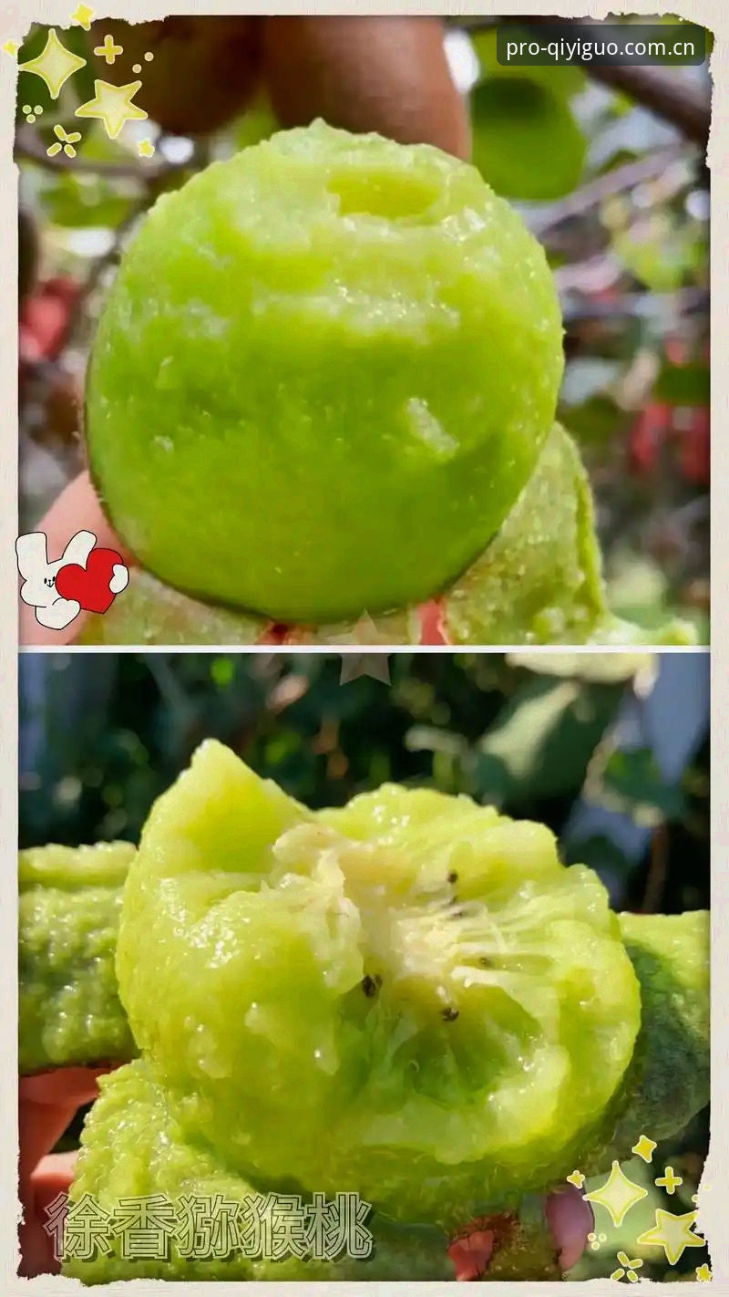 奇异果体育最新动态评测 奇异果体育最新动态评测能否重新定义赛事观看体验?
