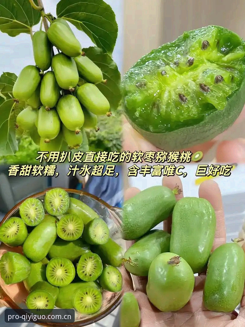 奇异果体育安全吗 奇异果体育安全吗?官方版本VS第三方下载:哪个更值得信赖?